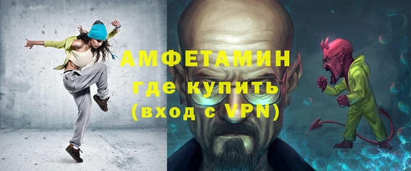 индика Гусиноозёрск