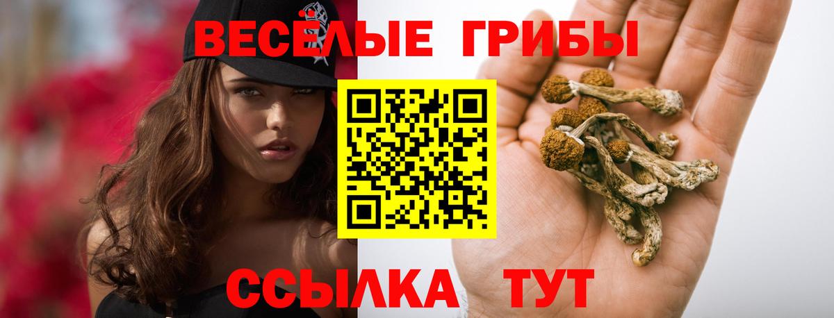 Галлюциногенные грибы ЛСД  Вход с VPN  где продают наркотики  Егорьевск 