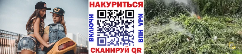 Канабис планчик Егорьевск